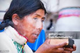 403 Puma Washington Stock Photos, High-Res Pictures, and Images