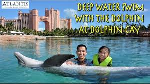Dolphin Cay Hi-Res Stock Photography And Images - Alamy