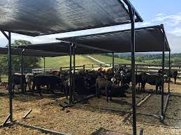 We did not find results for: Shade Structures Eden Shale Farm