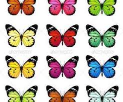Coloring Page Set Of Colorful Vector Butterflies Butterfly Template Printable Pictures From Printable Butterfly Template Butterflies Vector Printable Pictures