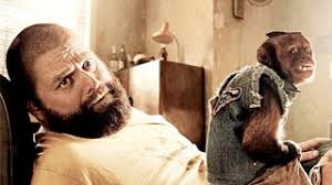 The Hangover: Part II's mischeivious monkey to visit the Wildwoods