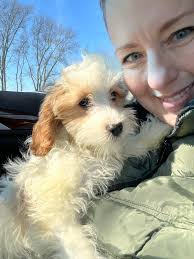 Celebrating Bugatti's 8th Birthday, a Rescue Dog from Harlingen, Texas