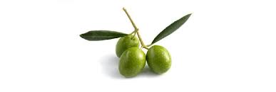 RÃ©sultat de recherche d'images pour "huile d olive"