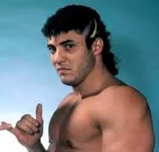 Wrestling's Glory Days