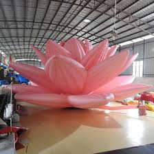 Blue lotus is noted for its calming euphoria, aphrodisiac qualities, and sedation. Outdoor Decoration Inflatable Lotus Flowers Light In Event And Wedding China Inflatable Lotus Flowers And Inflatable Lotus Price Made In China Com