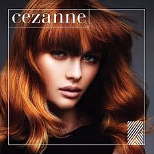 Salon merchandise visit our online store here Cezanne Salon Envy