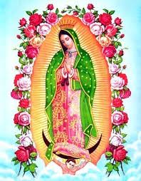 Pin On La Rosa De Guadalupe