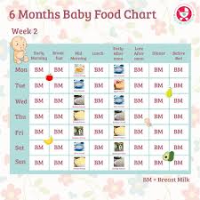 year baby food online charts collection