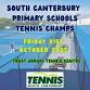 Primary Schools Tennis Tournament event image