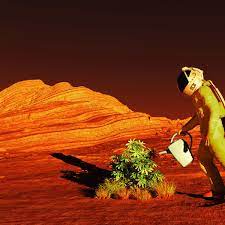 It's been several weeks and i haven't noticed any more rotting but i don't know how well the plant will. How To Grow Crops On Mars If We Are To Live On The Red Planet