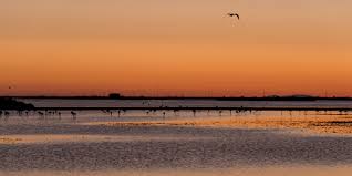 I strive to find a playfulness between fact and fiction. Camargue Rhone Delta Genuss Nomaden