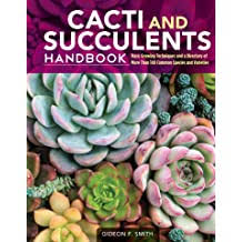 Organic cactus and succulent soil mix. Buy Cacti Succulents Online In Hungary At Best Prices