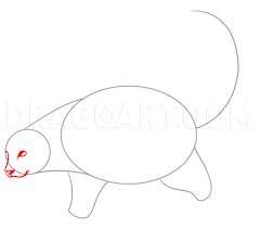 The star wore her hair in her signature blonde bob and kept her makeup minimal, making sure not to draw attention away from her. How To Draw A Snow Leopard Step By Step Drawing Guide By Dawn Dragoart Com