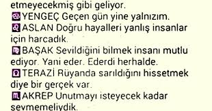 Ikizler Aslan Burclar Ikizler Gercekler