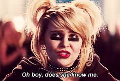 (chris evans, brandon routh, jason schwartzman. Roxie Richter Explore Tumblr Posts And Blogs Tumgir