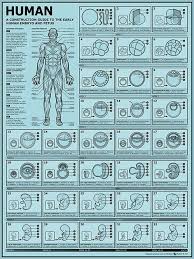 Pin On Reference Medical