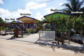 Guest House And Cabanas Hopkins Village Belize Real Estate Guest House Belize