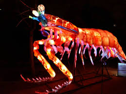 Au jardin des plantes : Ocean Illumine L Aqualand Lumineux Du Jardin Des Plantes De Paris How Much Time