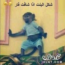 تمكنك هذه الاداة تكون مشرفا في جميع القروبات التي انت مشترك فيها غصبا عن مدير القروب ويمكنك الاضافة والحذف. Ø§Ø¬Ù…Ù„ Ø§Ù„ØµÙˆØ± Ø§Ù„Ù…Ø¶Ø­ÙƒØ© Ø¬Ø¯Ø§ Ø¨ÙˆØ³ØªØ§Øª Ù…Ø¶Ø­ÙƒØ© Ù„Ù„ÙÙŠØ³ ÙŠÙˆÙƒ ØµÙˆØ± Ù…Ø¶Ø­ÙƒØ© Ø¬Ø¯Ø§ 2021 Ø§Ù„Ø¹Ø¯ÙˆÙ„Ø© Ù‡Ø¯ÙŠØ±