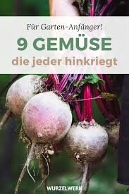 Gemusegarten Fur Anfanger 9 Gemuse Die Jeder Hinkriegt Wurzelwerk In 2020 Zucchini Pflanzen Nutzgarten Anlegen Nachwachsen Gemuse