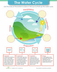 The Water Cycle Worksheet Education Com Water Cycle Water Cycle Worksheet Wow Journey