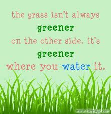 The Grass Is Always Greener On The Other Side Origin The Grass Isn T Always Greener On The Other Side It S Greener Where You Water It Uplifting Quotes Quotes Inspirational Quotes