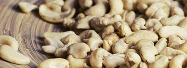 Women who shell cashew nuts for as little as £2 a day are regularly left with agonising acid burns while trying to meet british demands for the snack, a new report has found. Cashew Producers Farming In Vietnam For Sourcing Exporting Movetoasia