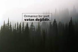 Check spelling or type a new query. Orman Ile Ilgili Sozler Orman Sozleri Pek Guzel Sozler