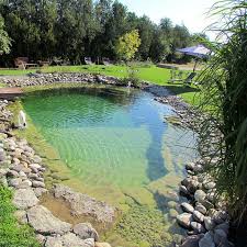 Naturliches Baden Naturschwimmbad Naturschwimmbecken Diy Schwimmbad