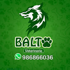Veterinaria BALTO Juliaca