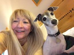 Lost puppy! 10 mo old Italian Greyhound puppy brown w/ black eyes & nose.  Answers to "Leo". If spotted he belongs to Burk family at 9 VDL. Thank you!