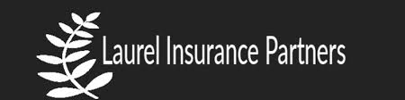 Maybe you would like to learn more about one of these? Beau Singletary President Laurel Insurance Partners Linkedin