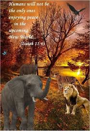 Thecattleonathousandhills Com Empowering Christians To Become Better Stewards Of God S Creation Ste Animals In The Bible Biblical Verses Christian Scripture