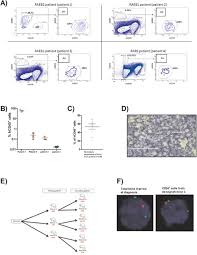 Oncotarget Molecular Dissection Of Engraftment In A