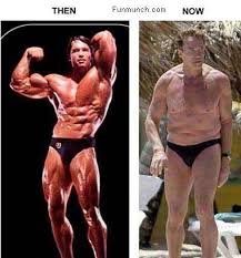 Arnold schwarzenegger, 30 июля 1947 • 73 года. Pin On Garden Aesthetic