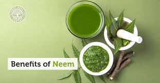 Neem oil intensifies the soothing properties of castor oil and fosters hair growth. Neem Oil Leaves 7 Impressive Health Benefits Uses