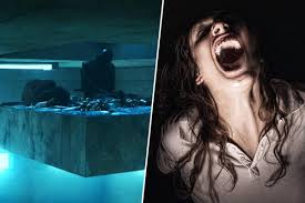 As you can see, there's a lot! The 50 Best Horror Movies On Netflix Right Now
