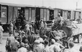 Image result for holocaust photos