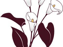 Jpg Download Free On Dumielauxepices Net Lily Funeral Clipart Full Size Png Download Seekpng
