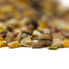 *free* shipping on orders $49+ and the best customer service! Dr Green Wild Bird Food 13kg Wild Bird Seed Farm Pet Place