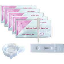 Pregnancy Test Price Pregnancy Test