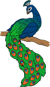 Peacocks are exotically beautiful, like an island flower. Download How To Draw A Peacock In A Few Easy Steps Easy Drawing Of Peacock Full Size Png Image Pngkit