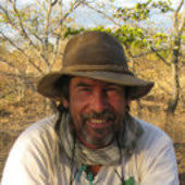 See pictures of fossils in this gallery. What An Unusual Fossil Reveals About Parental Care Among Pre Mammalian Ancestors