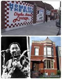 Image result for Blue Cosmo 2008 145