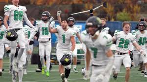 West Linn 10U stars drop third straight at World Series