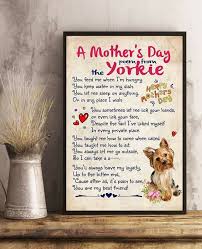 To Mom Love The Yorkie Yorkie Lap Dogs Yorkshire Terrier