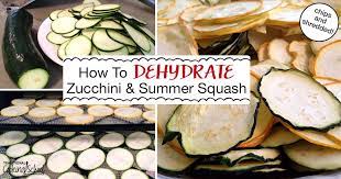 Check spelling or type a new query. How To Dehydrate Zucchini Summer Squash