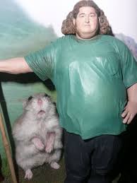 Wait There Were Giant Hamsters On The Island Too I Hope He Didn T Get Lost Hamster Pets Cute Animals