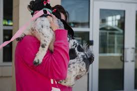 We understand the level of trust that it takes to leave your pet with someone else when you cannot be there. Volunteers Bring Asylum Seekers Pets Across Us Border