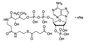 This medicine is also known as coenzima, ubidcarenone, ubidécarénone, and ubiquinol. Succinyl Coenzyme A Sodium Salt 85 108347 97 3
